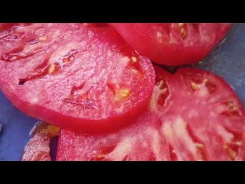 Видео: Сушене на домати - Как да изсушите домати на слънце