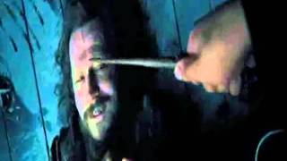 Harry Potter and the Prisoner of Azkaban-X-Ray Dog