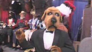 Andrew Tarr At Superzoo