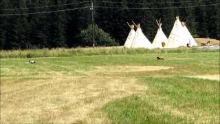 Gadův Memoriál Stafbulíci