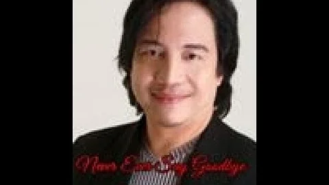 Never Ever Say Goodbye - Nonoy Zuniga [With Lyrics]