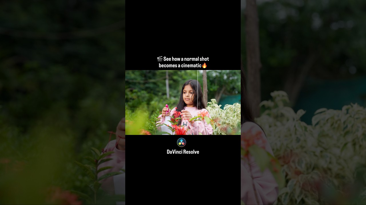 FILM LOOK COLOUR GRADING 