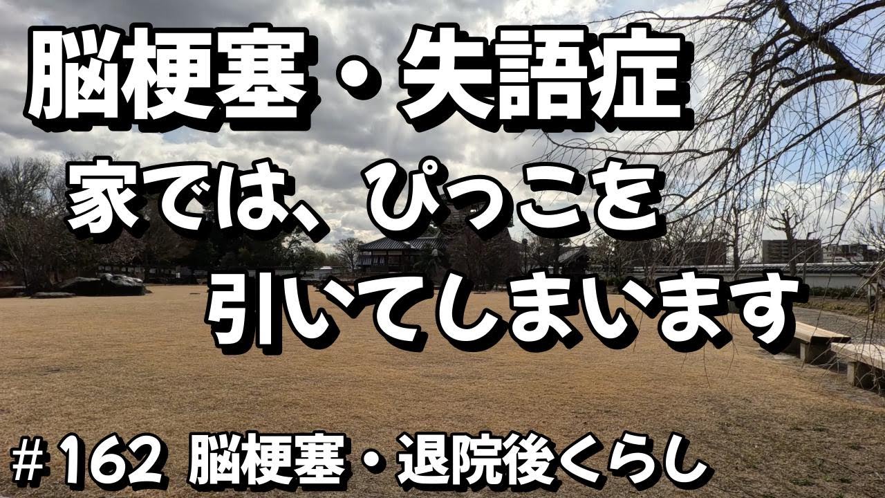 ＃162【 脳梗塞・失語症】 家では、ぴっこを引いてしまいます。 #バイク事故　#脳梗塞　#失語症　#右手足麻痺　#退院後くらし