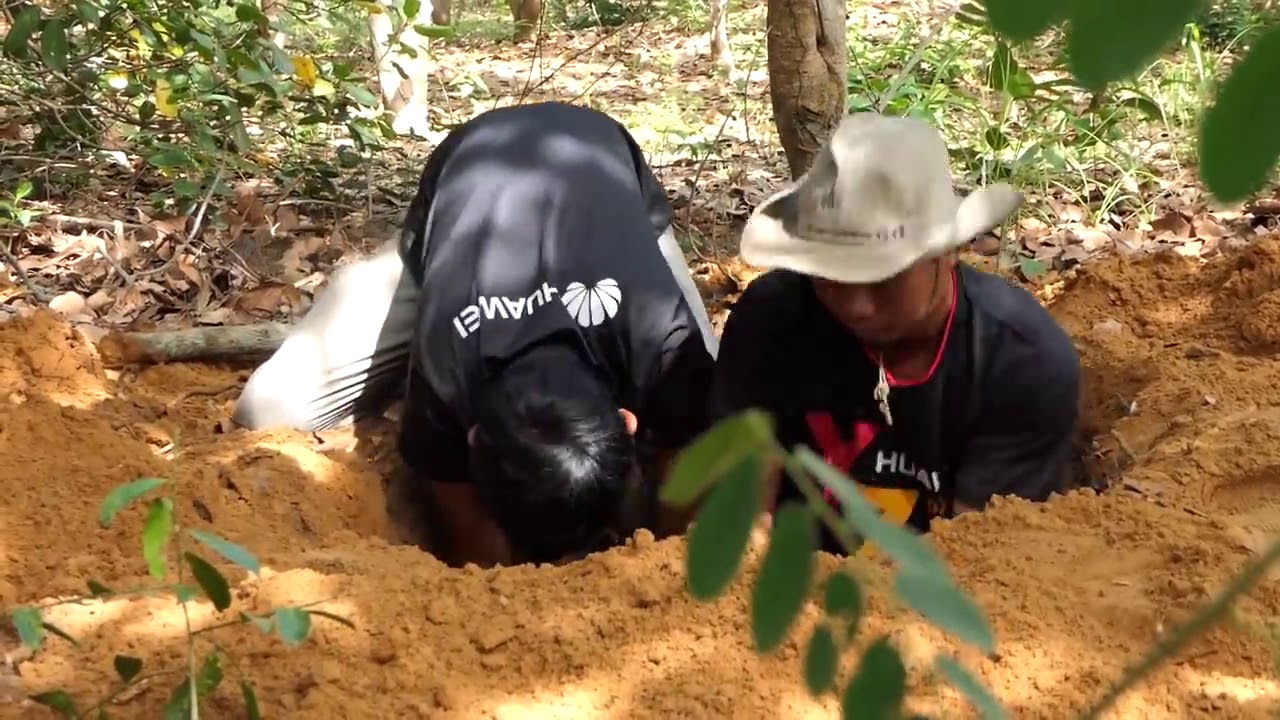 Awesome Quick Wild Pig Trap Using Dead Fall Deep Hole Trap