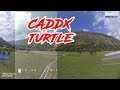 Caddx Turtle