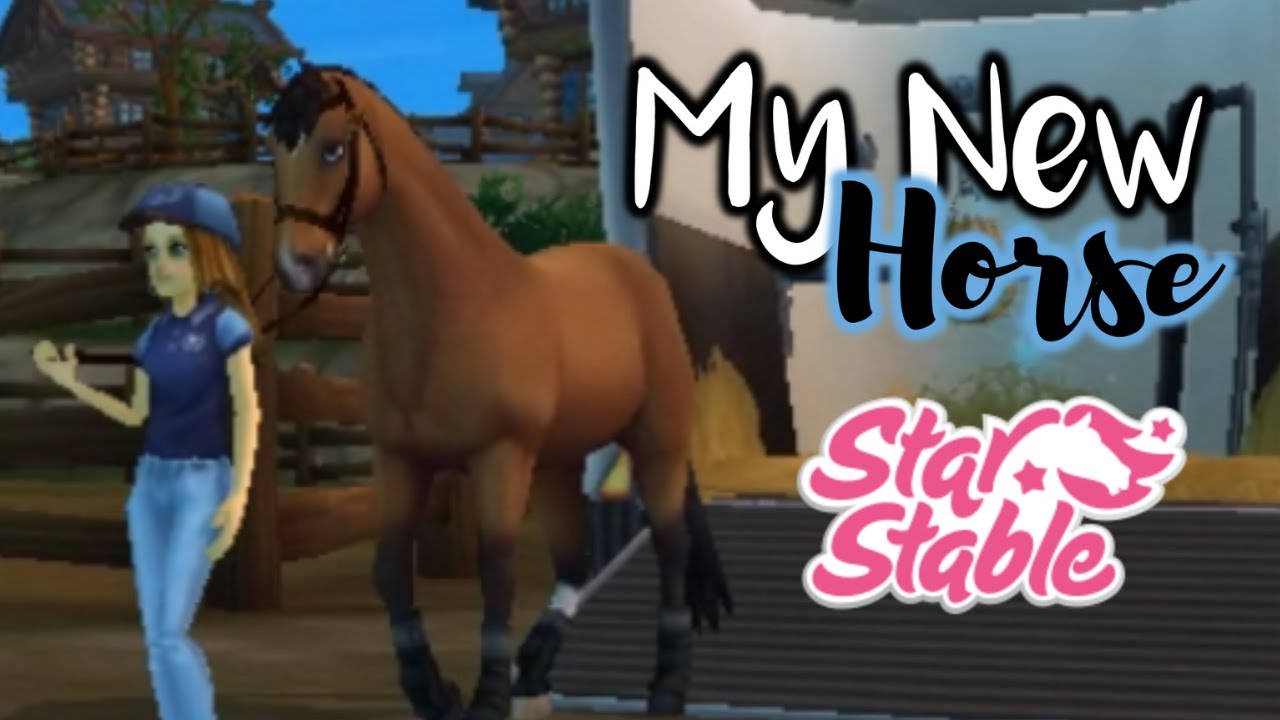 Meet My New Horse! || SSO Realistic Roleplay - YouTube