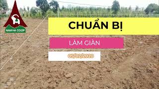 Cây gấc – Cách trồng, chăm sóc gấc sai trĩu trái -Sfarm