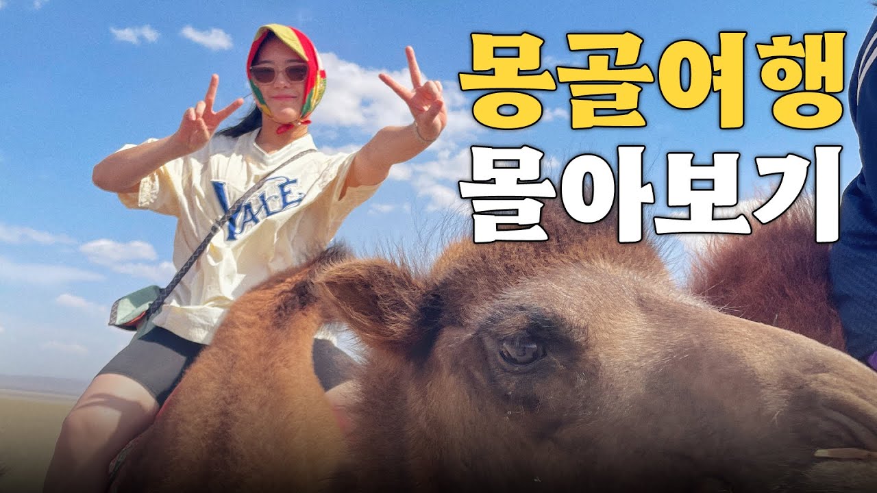 🇲🇳 5년 만에 다시 찾은 몽골 여행 몰아보기(7박 8일 고비사막 투어) #mongolia
