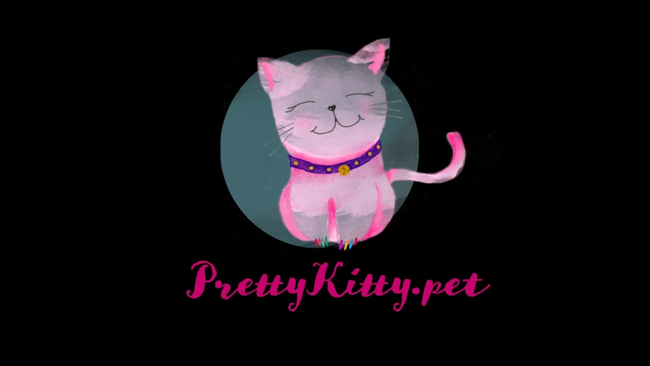 Instruction for nail caps for cats YouTube