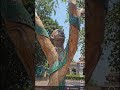 पेड़ में छिपी इंसान की मूर्ति 😲 | Amazing Tree Sculpture | Nature Art Viral Video