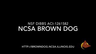 NCSA Brown Dog Demo