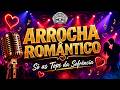 PLAYLIST ARROCHA ROMÂNTICO 2026! SÓ AS TOPS DA SOFRÊNCIA