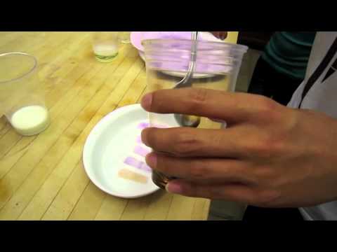 Fairmont School Chemistry Final Project Video Red Cabbage-11-08-2015