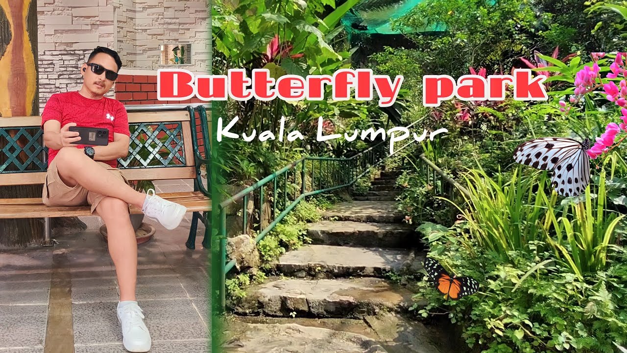 Kuala Lumpur Butterfly park।। Garden of butterfly!! Kuala Lumpur, Ghumgham 😎 My Vlogs
