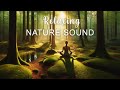 Beauty of Nature: Soothing Music for Deep Sleep, Concentration & Stress Relief 🌿 #SoothingVibes