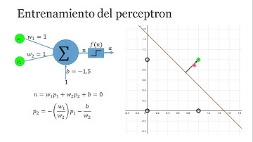 Entrenamiento del perceptron 1/3