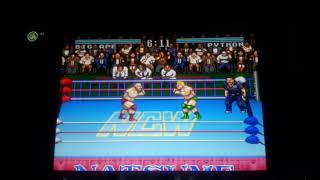 Natsume Championship Wresting How to Play Locking Up Tutorial | Nintendo Switch SNES Online |