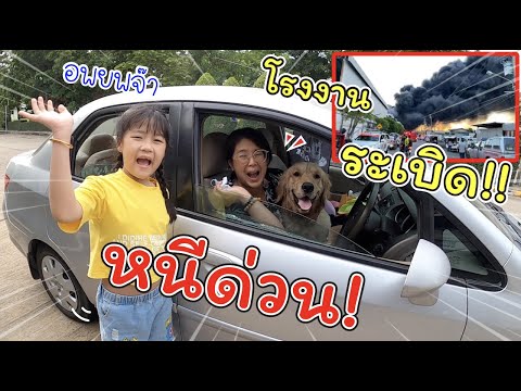 อพยพด่วน!! ขนของหนีโรงงานระเบิดที่กิ่งแก้ว ใกล้บ้านมาก!! | แม่ปูเป้ เฌอแตม Tam Story