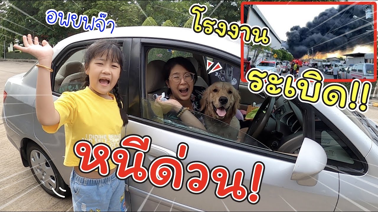 อพยพด่วน!! ขนของหนีโรงงานระเบิดที่กิ่งแก้ว ใกล้บ้านมาก!! | แม่ปูเป้ เฌอแตม Tam Story | ข้อมูลทั้งหมดเกี่ยวกับโรงแรม แถว กิ่ง แก้วเพิ่งได้รับการอัปเดต