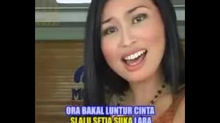 PRAPATAN PLERED arin armada @ lagu tarling