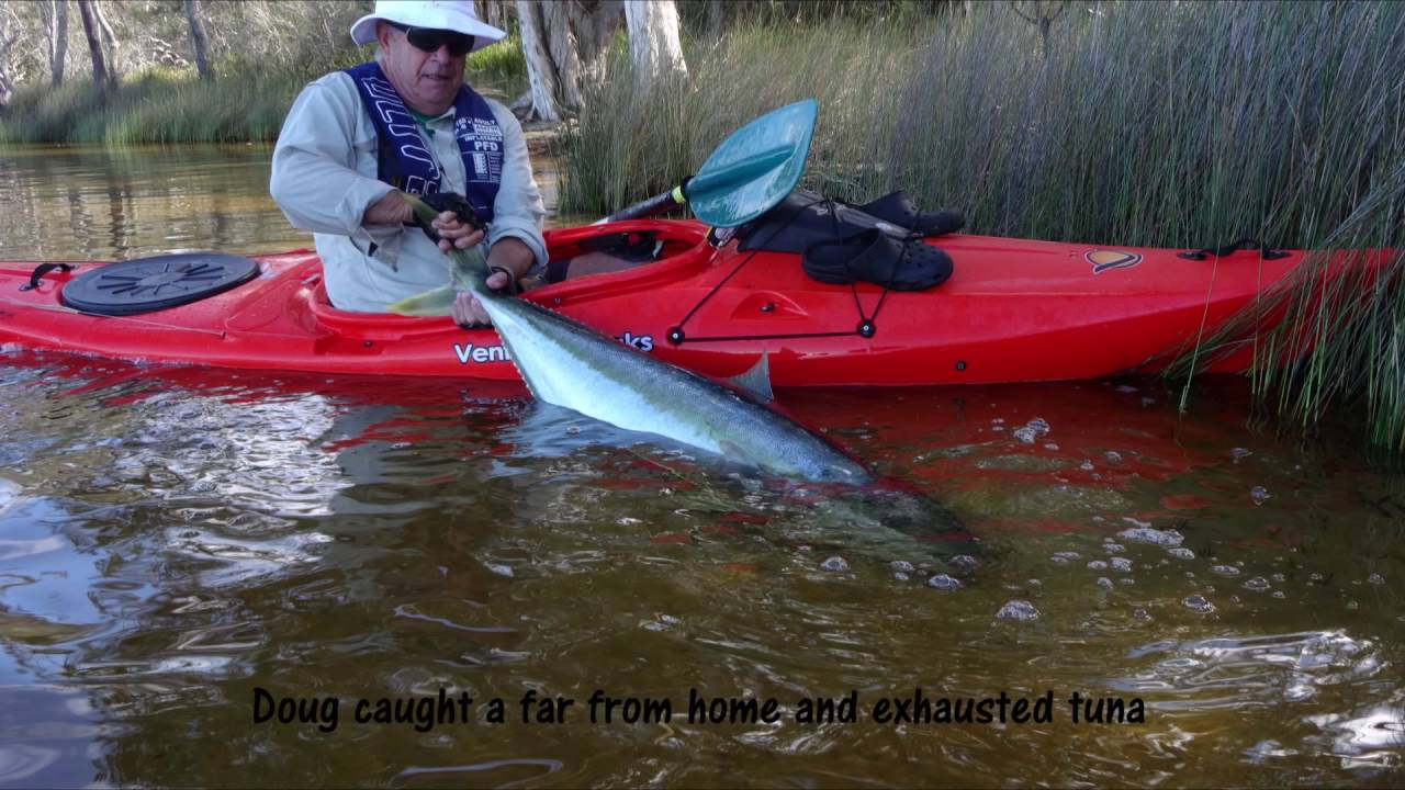 Sea Kayak Camping YouTube