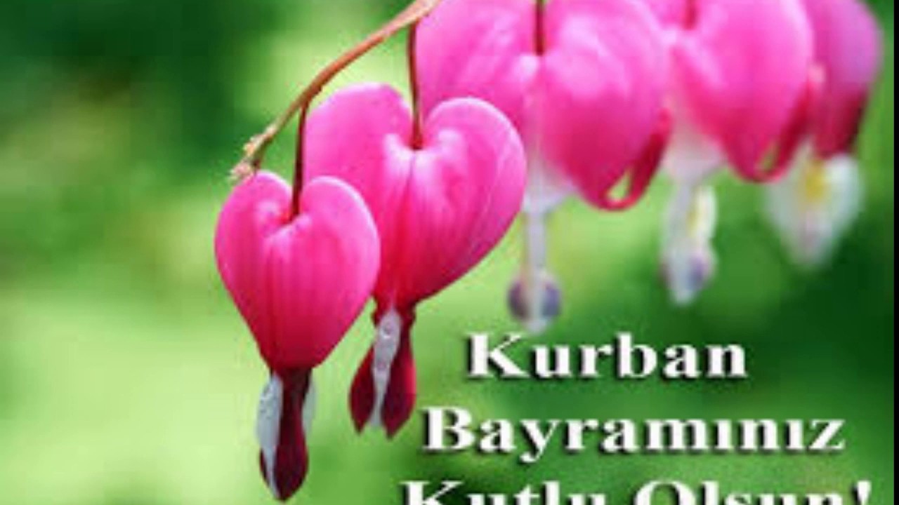 KURBANLARINI KABUL KURBAN BAYRAMINIZ MÜBAREK OLSUN – YEMEK TARİFLERİ