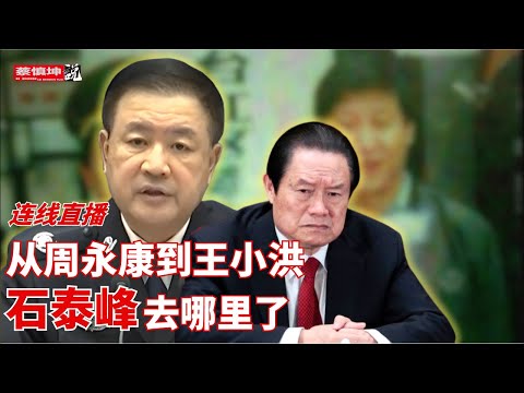 蔡慎坤：從周永康到王小洪｜老同志出來了｜石泰峰去哪裡了｜新疆書記還入局｜中俄關係風雲變幻｜中國財富蛋糕｜（20260214第944期）