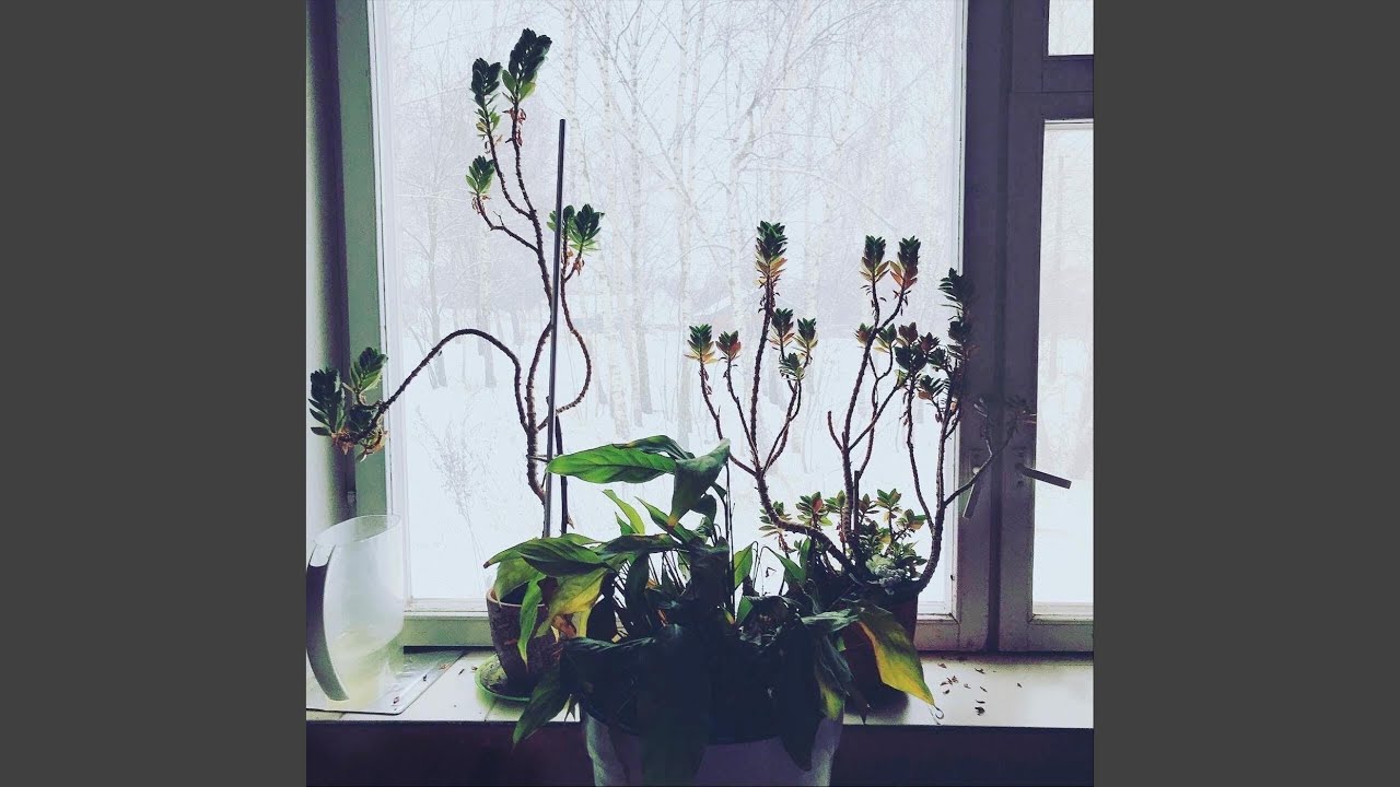 Assista a Самолет no YouTube Assista a Самолет no YouTube