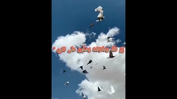 إِنَّ اللَّهَ وَمَلَائِكَتَهُ يُصَلُّونَ عَلَى النَّبِيِّ ۚ 🕋 بصوت جميل القارئ ماهر المعيقلي