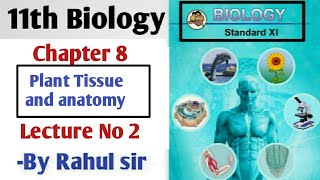 Famous 11th Biology | Chapter 8 |  Plant Tissue and Anotomy | Lecture 2 | maharashtra board | Net Worth