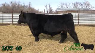 Celebrity FDS Lot 49 Wealth