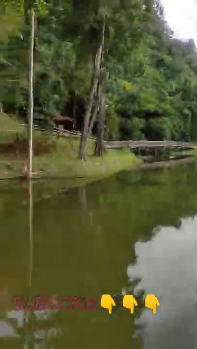 taman tasik bukit mas | Limbang #shorts
