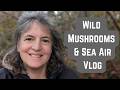 Slowing Down in Wales: Beaches, Woods & Wild Mushrooms