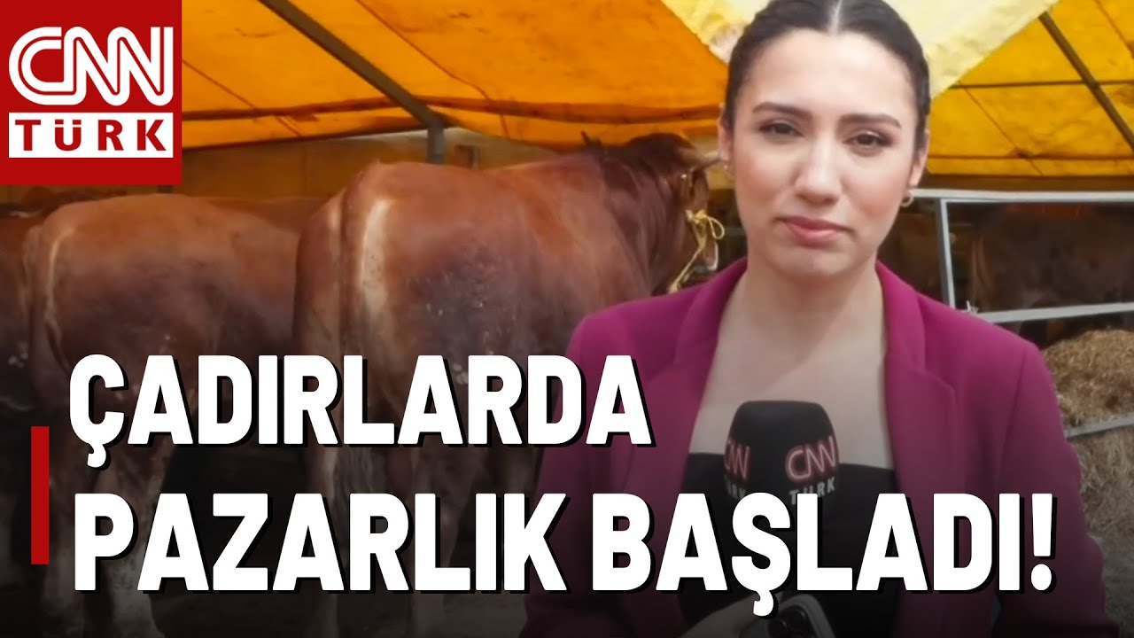 Kurban Bayramı Yaklaşıyor! İstanbul'da Kurbanlıklar Kaç Liradan Satılıyor?
