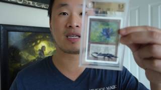 Vintage Magic Product Review GEM MINT BGS 9 5 MTG Unlimited Black Lotus on eBay AUCTION NOW