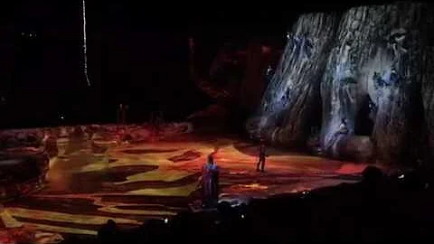 Avatar-cirque du soleil