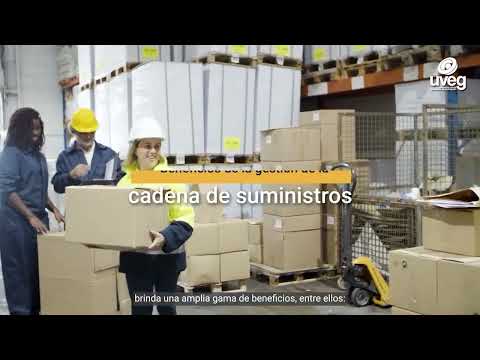 Tipos de sistemas online