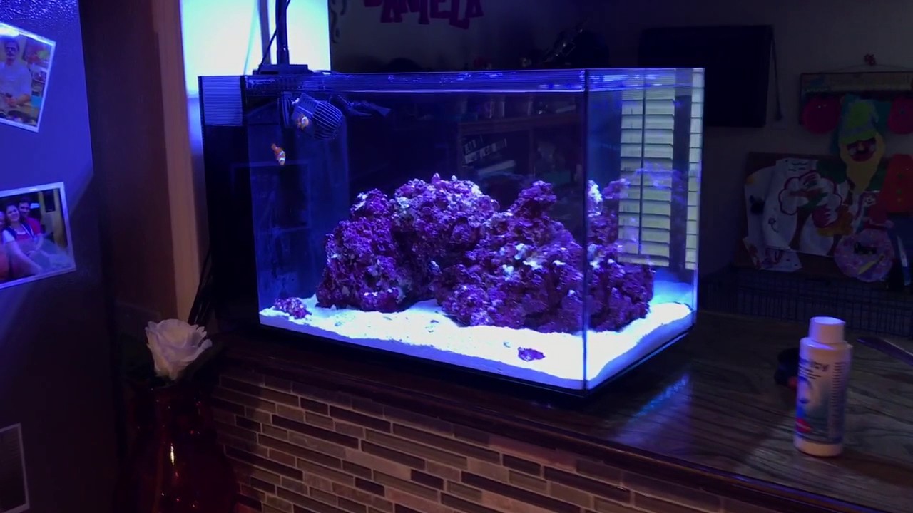 Fluval Evo 13.5 part 4 - YouTube