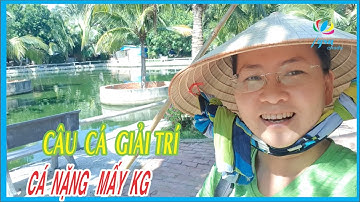 Có Gì Lạ Trong Khu Câu Cá Giải Trí Sonata Resort| Phan Thiết Tiến Thành Có Gì Chơi