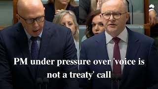 Dutton slams Albaneses call on Voice to Parliament treaty