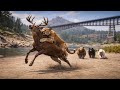 RDR2 - 4 jaguar attack a wild deer amazing moment ep.42