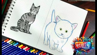 Learn to draw Cat | animals drawing easy | Master Drawing in Easy Steps!
