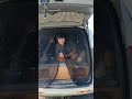 굿몽