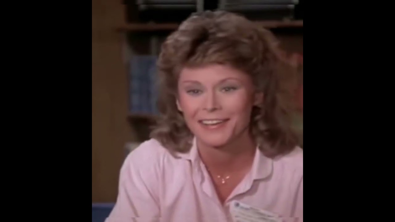 Bruce Boxleitner and Kate Jackson on Scarecrow and Mrs King