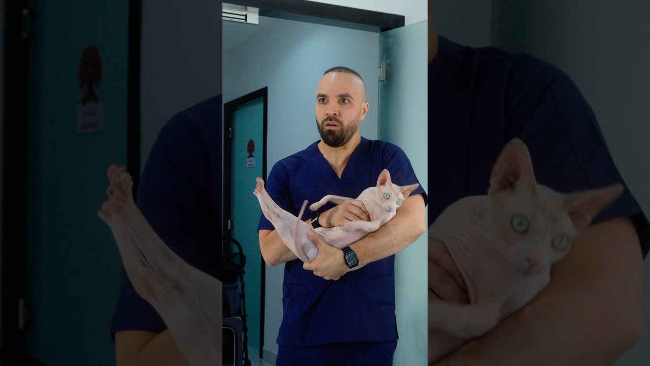 When The Vet Gives You The Wrong Pet