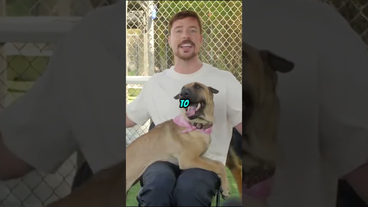 MrBeast saved 1,000 animals 