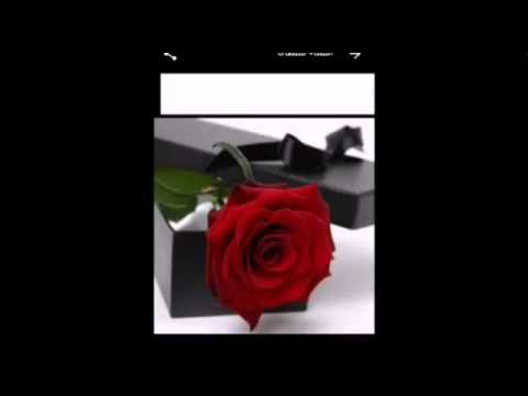 وجمعتنا الصدفه الحلوه