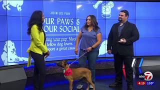 PAWS AND POUR SOCIAL HOUR
