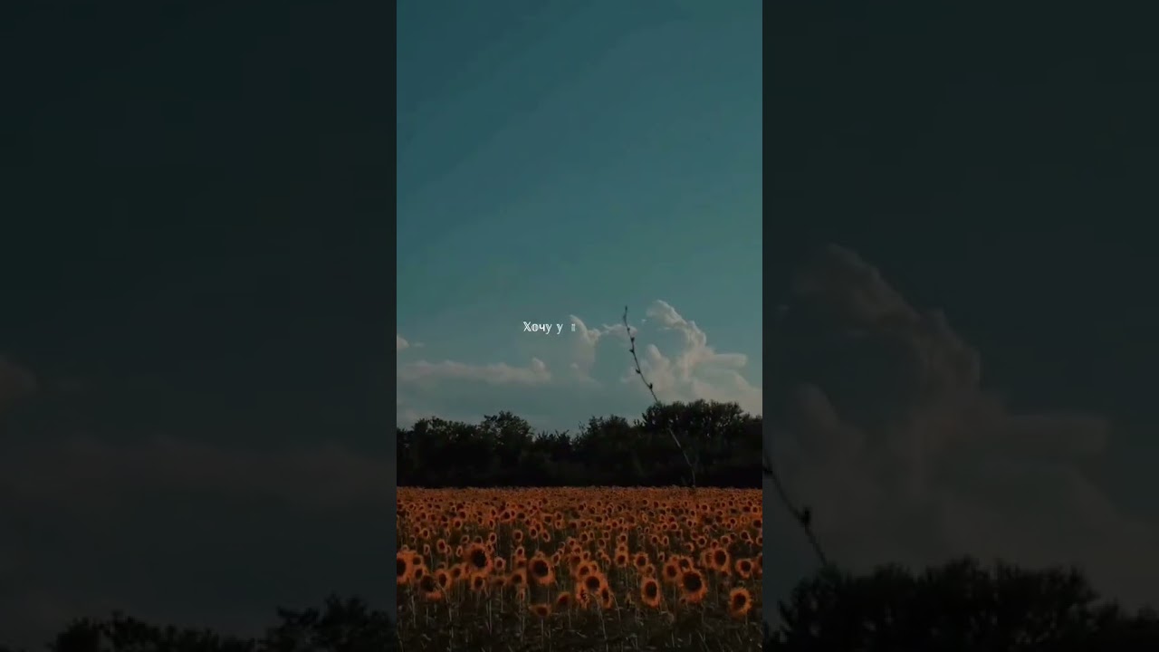 я хочу дивитися... 