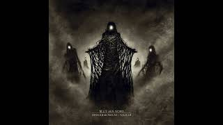 Blut Aus Nord - The Endless Multitude